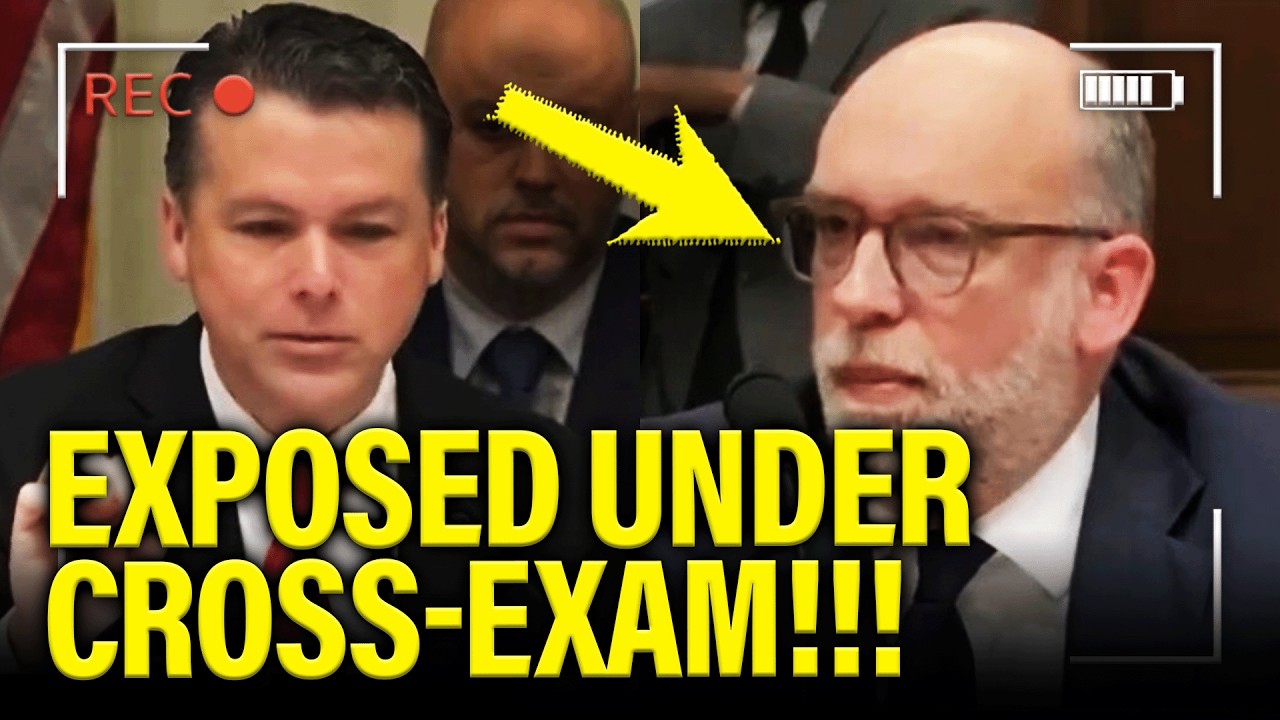 Trump Witness QUICKLY COLLAPSES under CROSS EXAM at HEARING!!