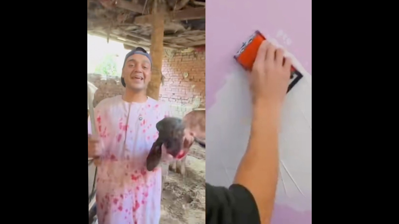 دبجت اكبر خروف 🐑 في العالم 😱
