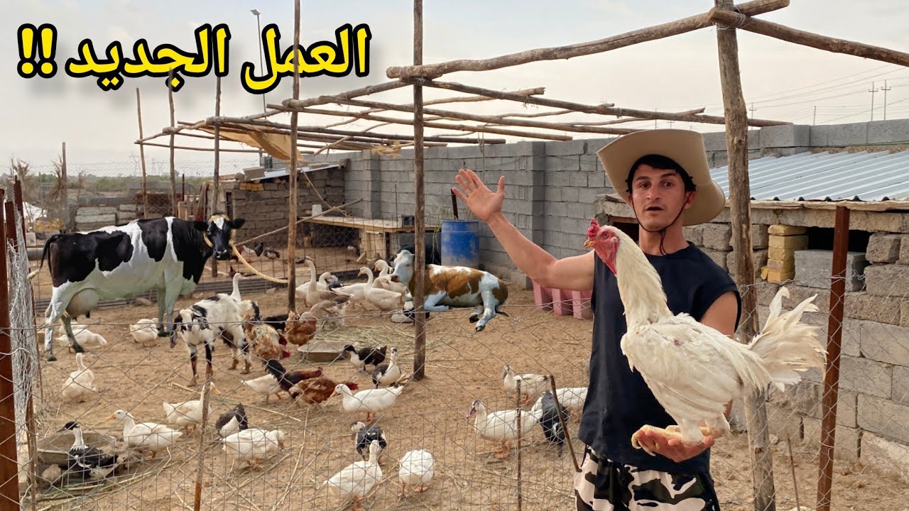 ​أقوى مغامرة في المزرعة | صدمة البيع وصول الكانجال وبداية العمل الجديد!! 🔥