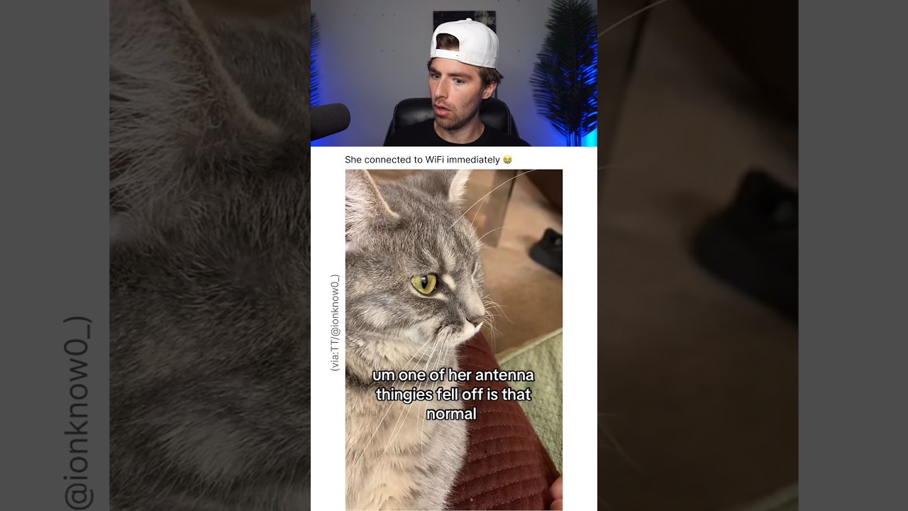 THIS CAT IS CONNECTED TO WIFI.. 😭 - Published by Wyatt Reacts