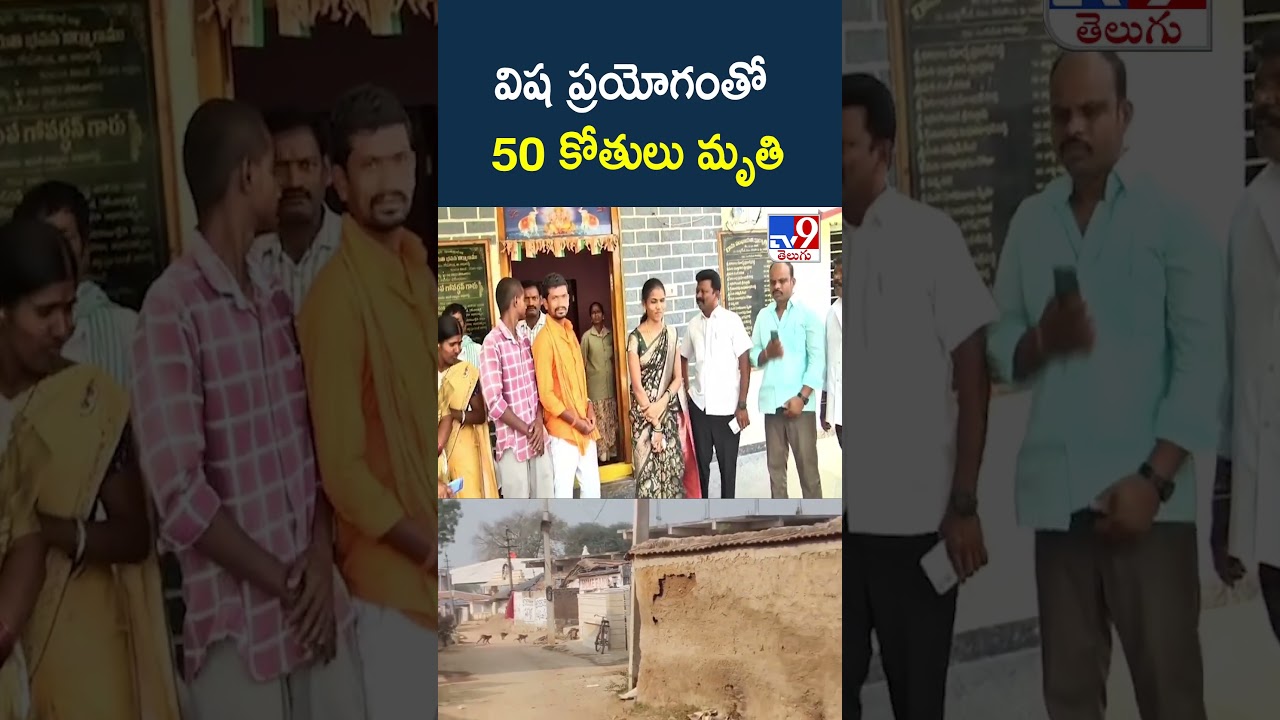 విష ప్రయోగంతో 50 కోతులు మృతి - TV9