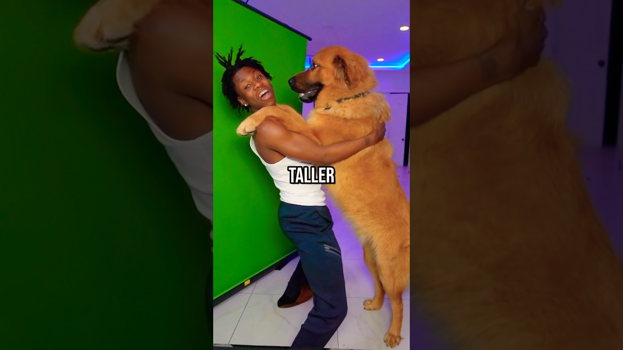 Rakai Is Shocked After Realising His Dog Scooby Is As Tall As Him! 😂😭