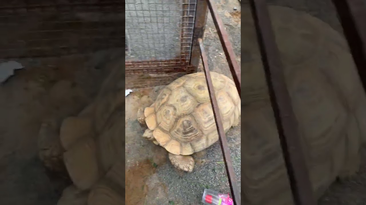 🤣🤣🤣🤣🤣🤣🤣🤣🤣🤣🤣🤣