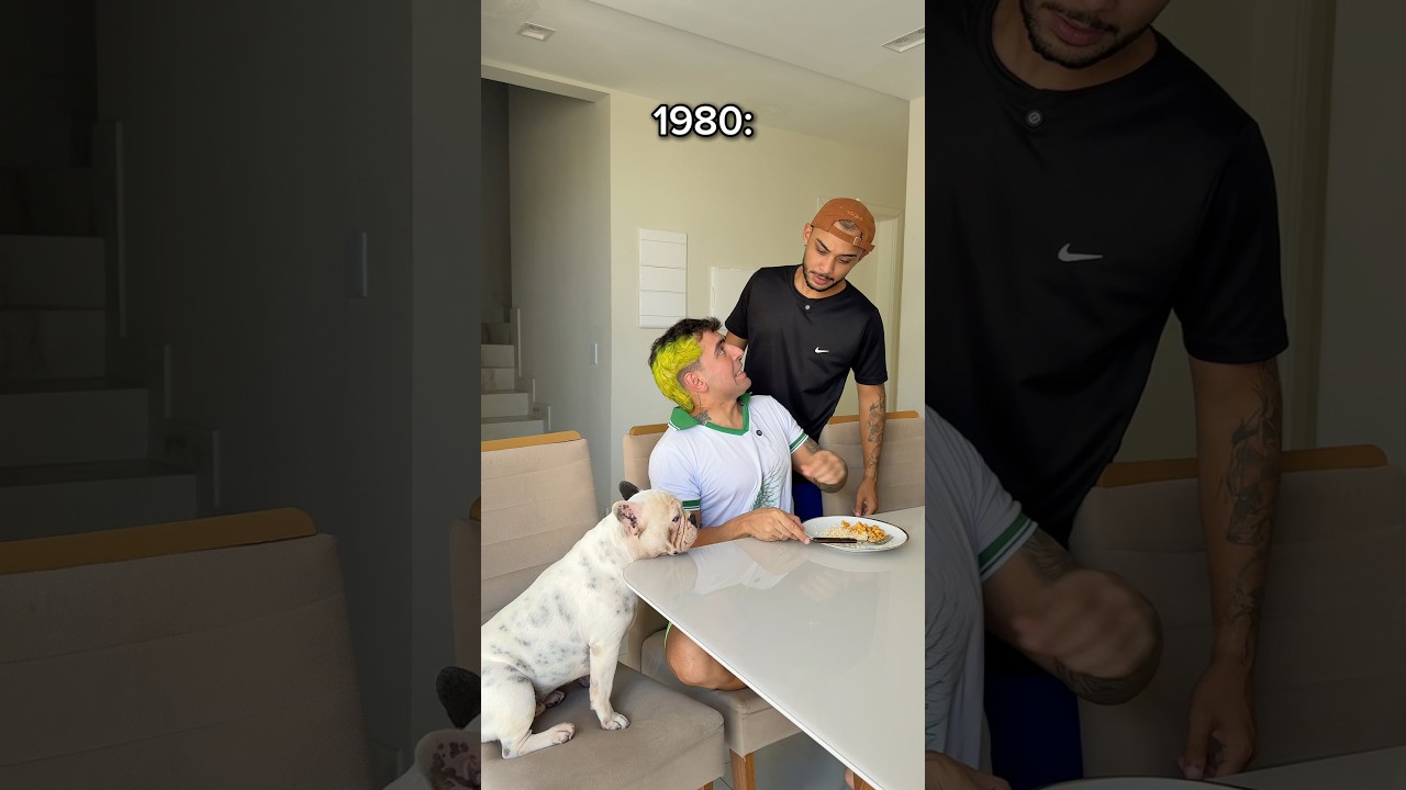 Evolução do cachorro na família 😂