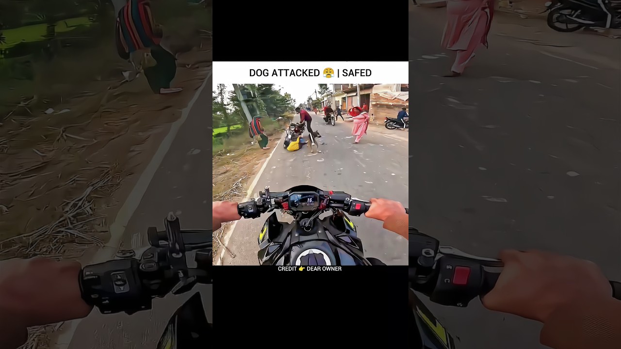 Dog Attacked 😤 | Motovlogs