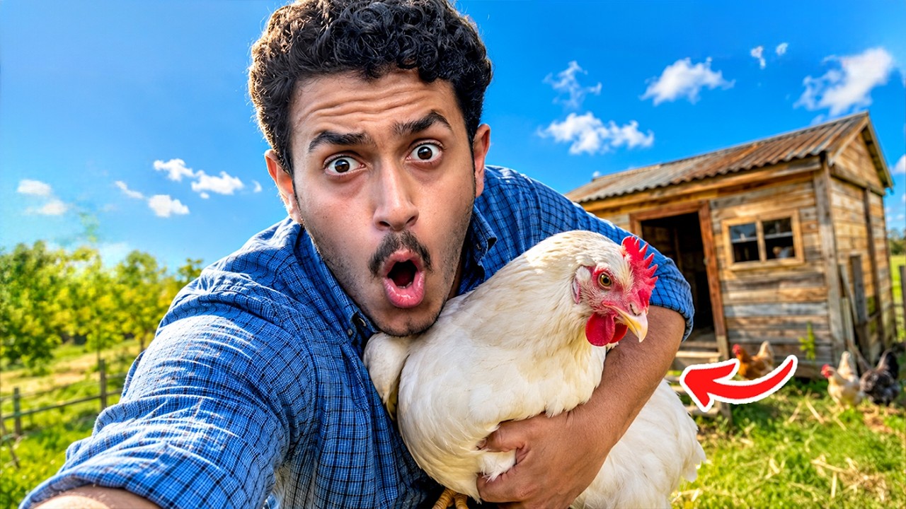 انسرقت الدجاجة وبدأ التفتيش ( كوخ جديد ) !!