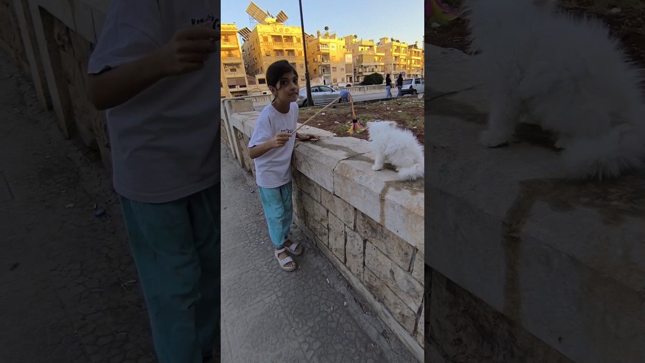 الجدبة سرقت قطتنا #أماني_فاميلي #أمورة #فاميلي