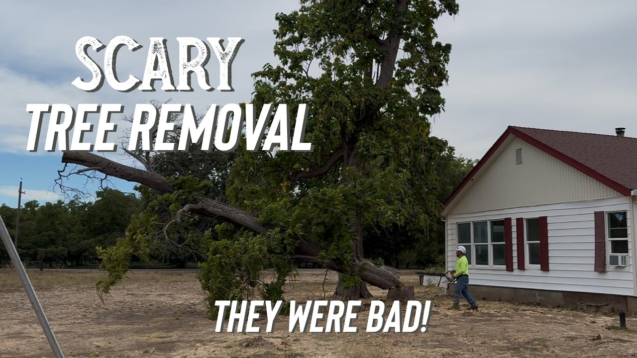 Tree Removal Day at the Farmhouse