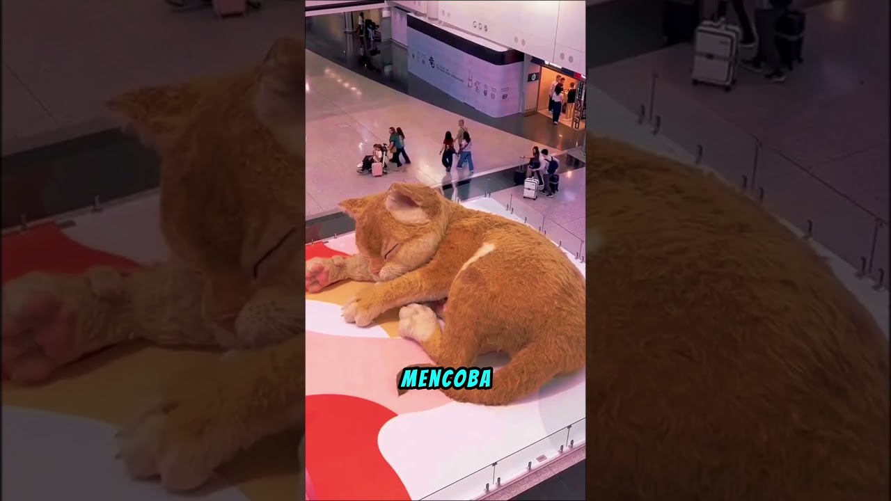 Mall Ini Dijaga Kucing Raksasa😱 #shortviral