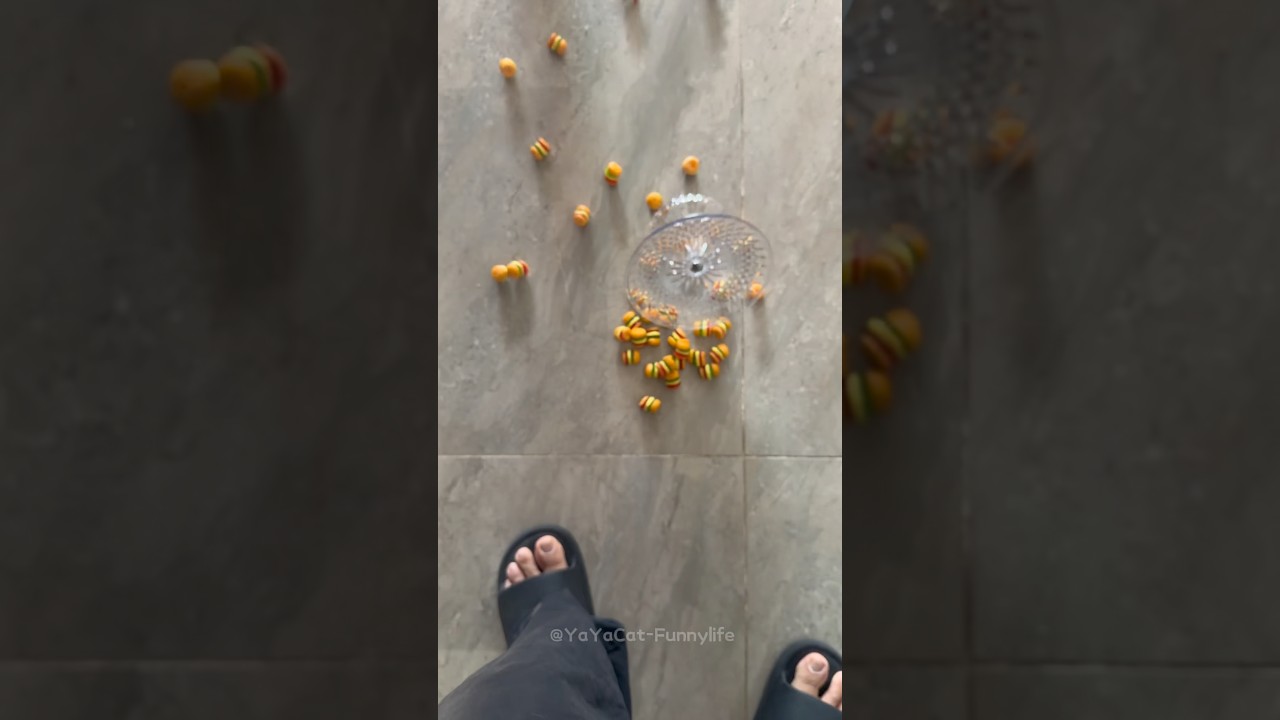 OMG, The Cat Almost Ate Dirty Food!#cat #funny #shorts