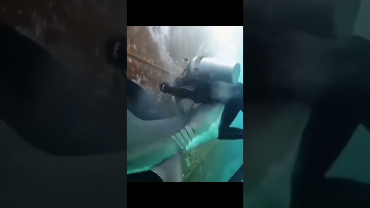 Esse vídeo é feito por IA, fiquem tranquilos, isso não aconteceu de verdade.