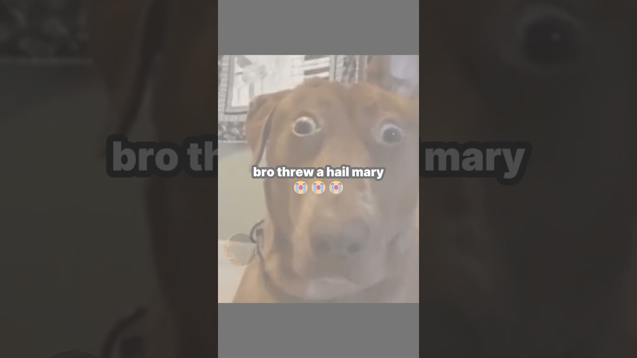 hail mary shots never disappoints #shorts #basketball