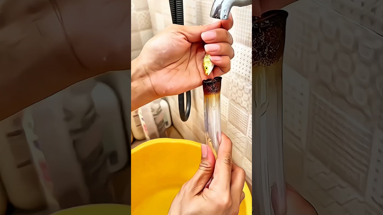😱 Papai Colocou Meu Peixinho Dentro de um Tubo 🐟❤️ | Final Surpreendente #shorts #shortsfeed