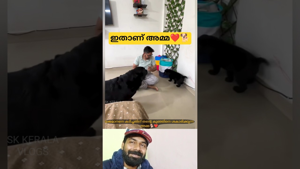 ഇതാണ് അമ്മ ❤️🐾