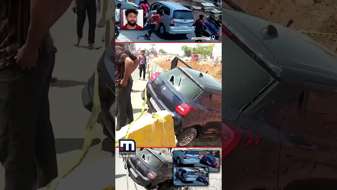 പട്ടാപ്പകൽ അരുംകൊല ചെയ്യുവാന്ന് പറ‌ഞ്ഞാ...; നടുറോഡിൽ മൃ​ഗീയ കൊലപാതകം | Kollam