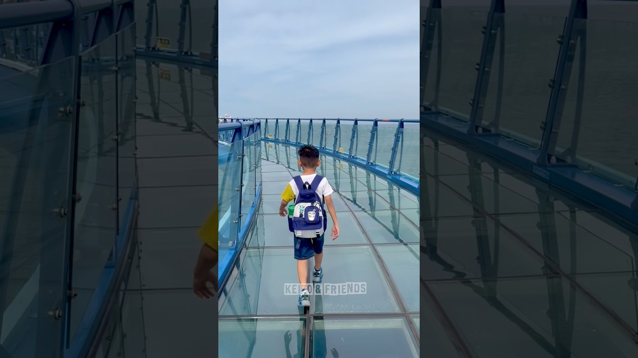 Siapa yang paling takut jalan di atas jembatan kaca tinggi⁉️
