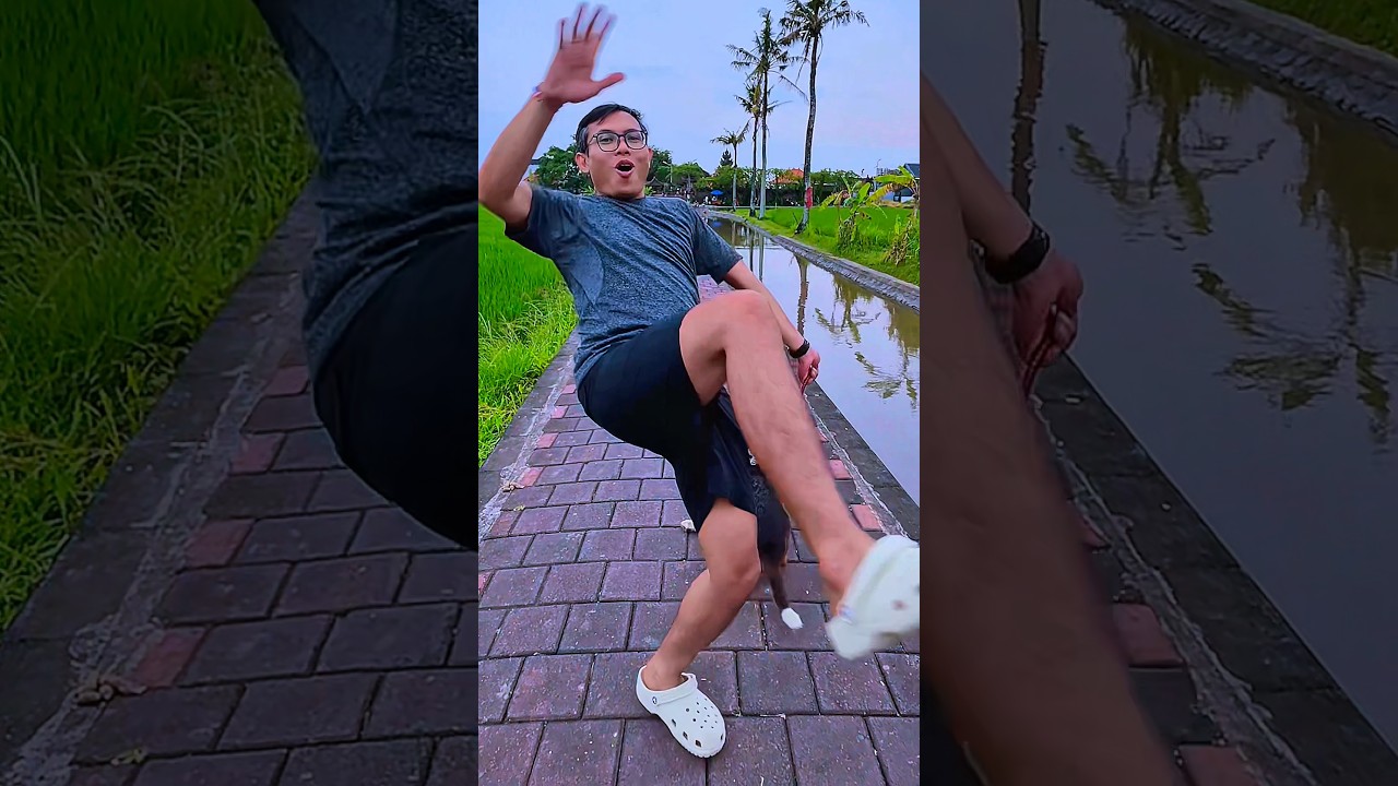 Bapak Genta Senja Omang ketarik anjing beagle tory hampir jatuh 😫 #wiangfamily #beagle