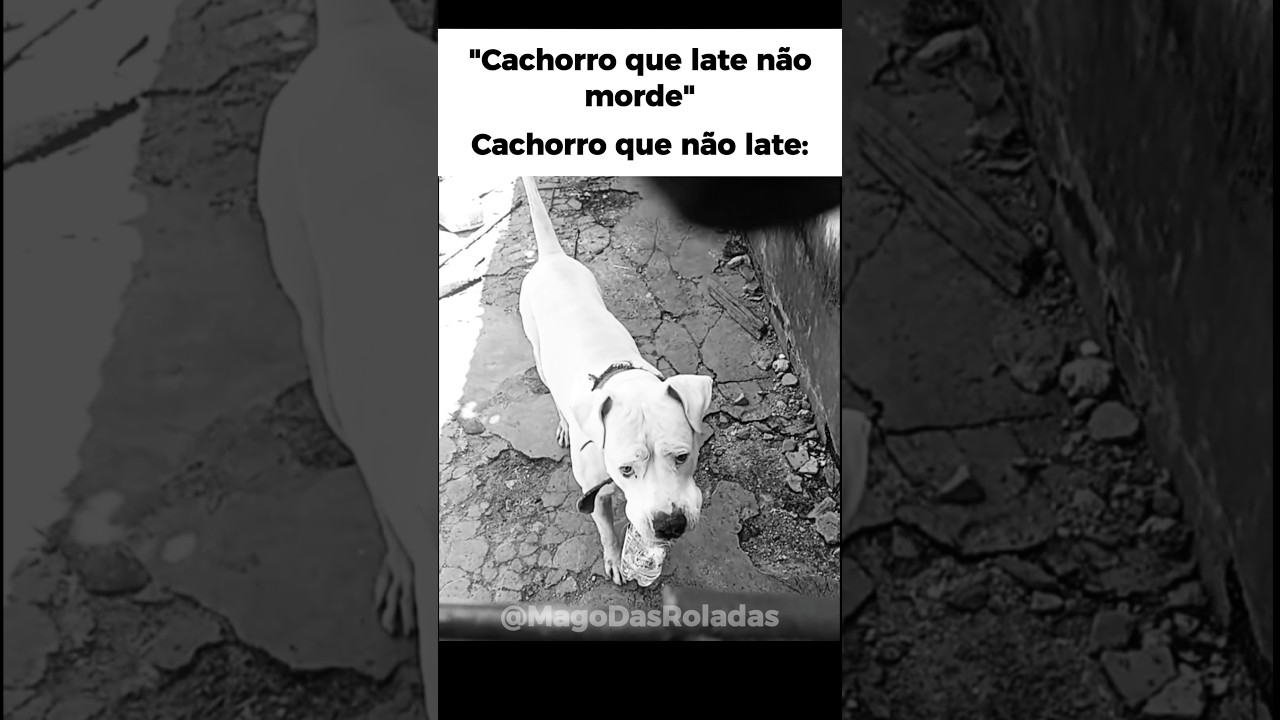 "bota a mão agora chefe"😭🙏🥀