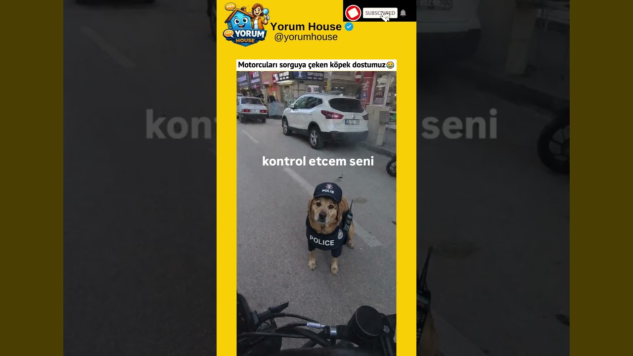 Motorcuları sorguya çeken KÖPEK dostumuz 😂​🤣​ IG:tezcanmotovlog