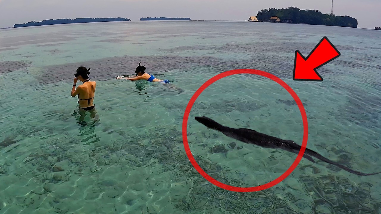 PARAH! Ajak teman Korea ke pulau seribu malah jadi KACAU! 😱