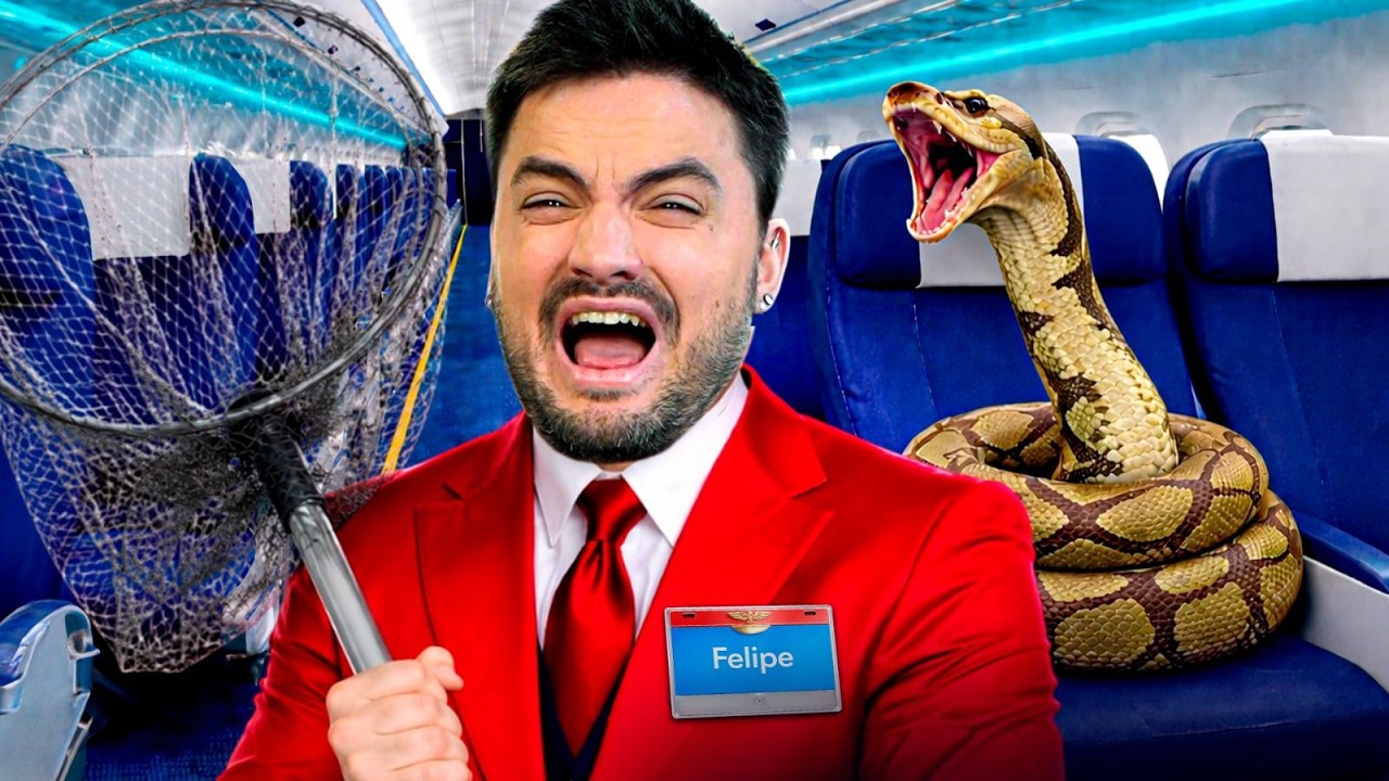 UMA COBRA INVADIU MEU AVIÃO E EU NÃO SABIA O QUE FAZER