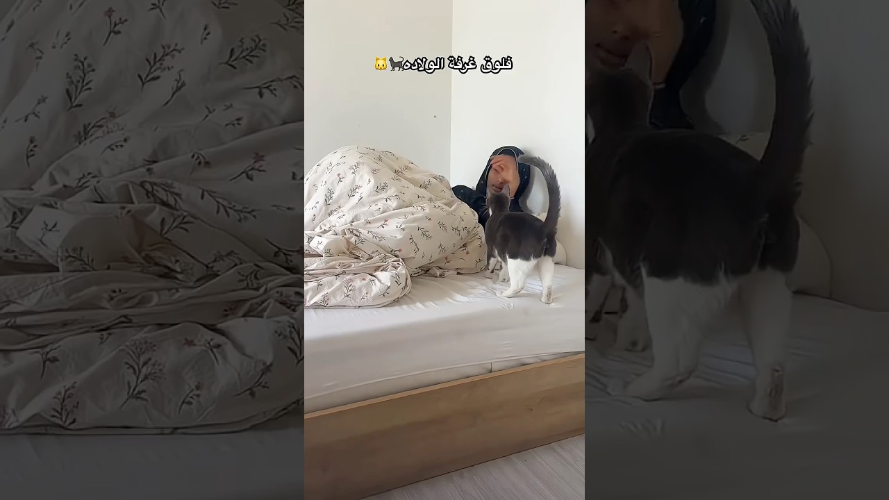 فلوق الجمعة تجهيز غرفة الولاده🐱🐈‍⬛ عطونا اسماء للبيبي؟