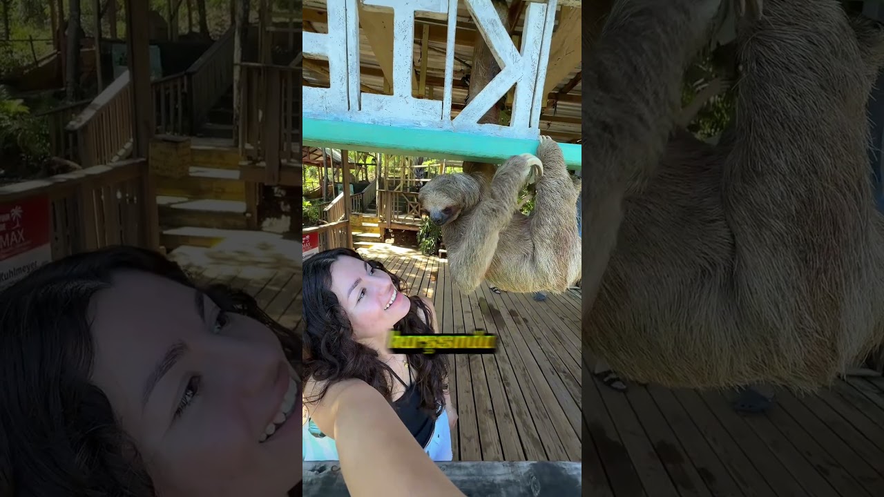 Uyanınca Yaptığı Şeye Bakın! 😳