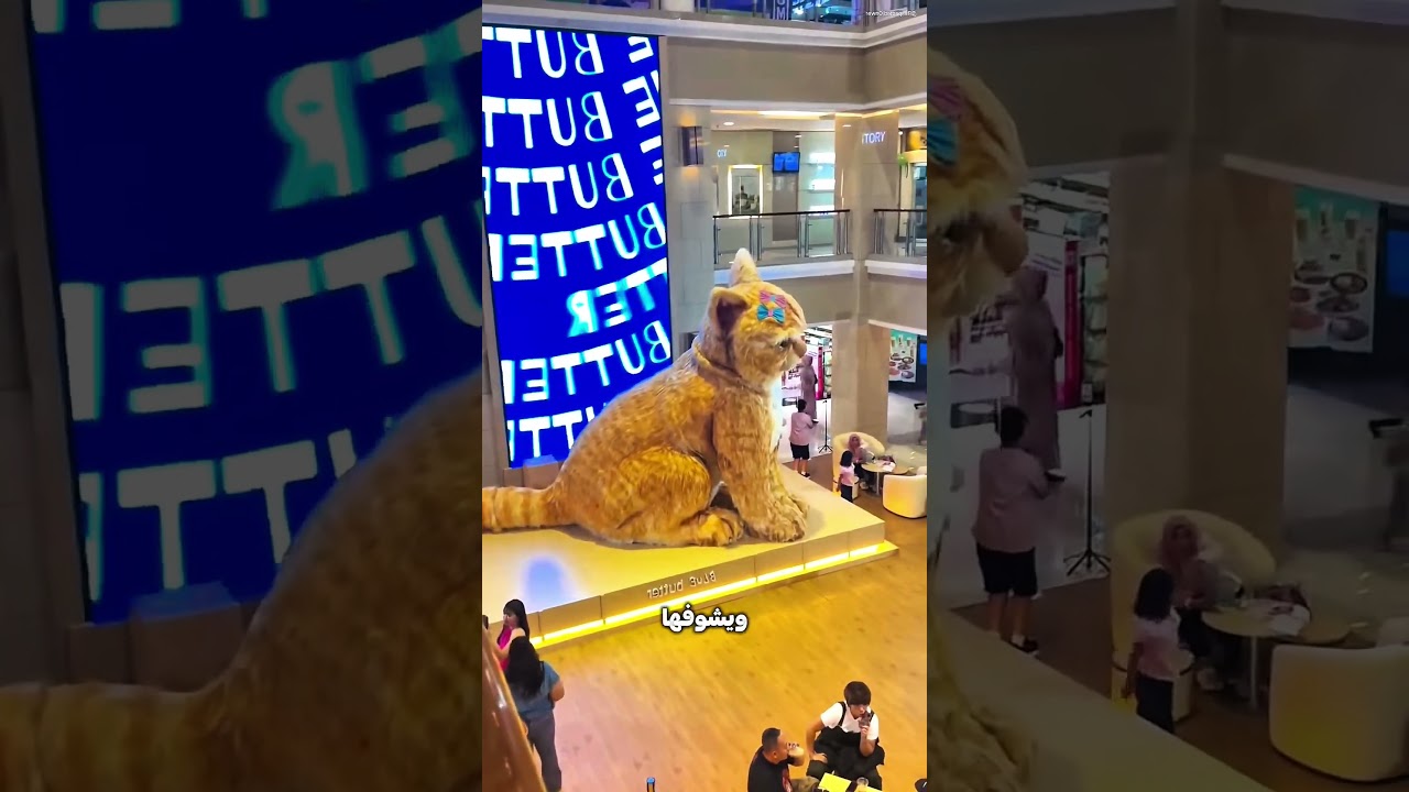 حاطط قطة عملاقة تحرس المول! 😱🐱