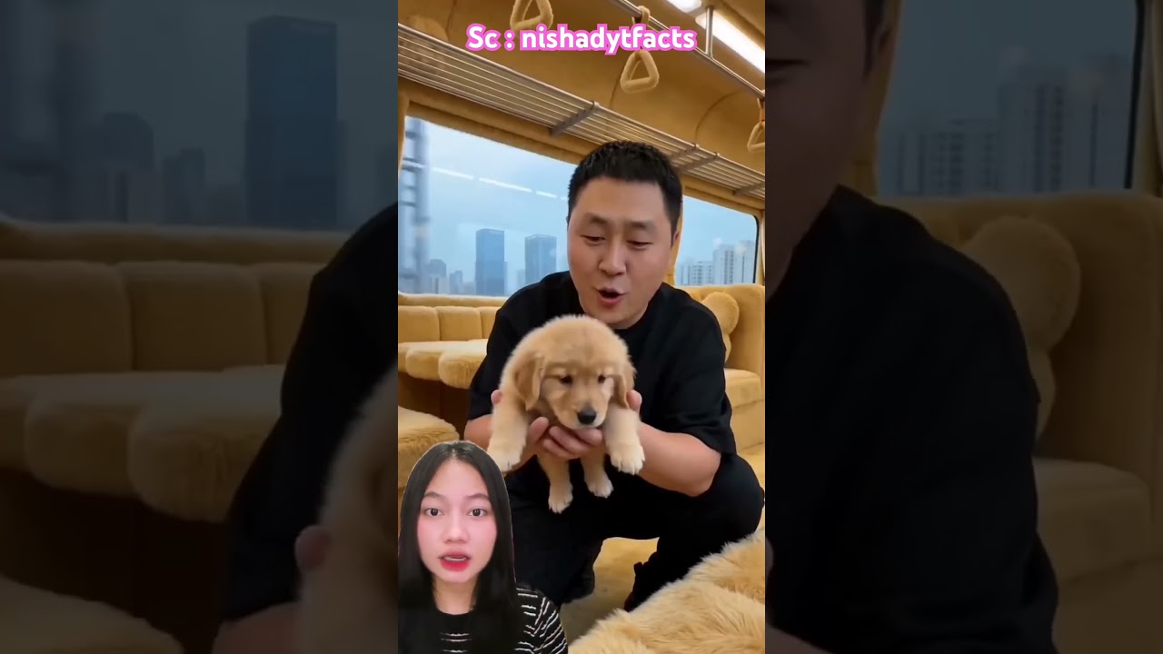 Kereta guguk ucul banget⁉️ nishadytfacts