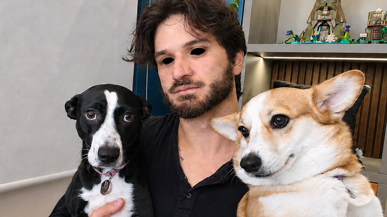 4 JOGOS DE TERROR SOBRE CACHORROS!