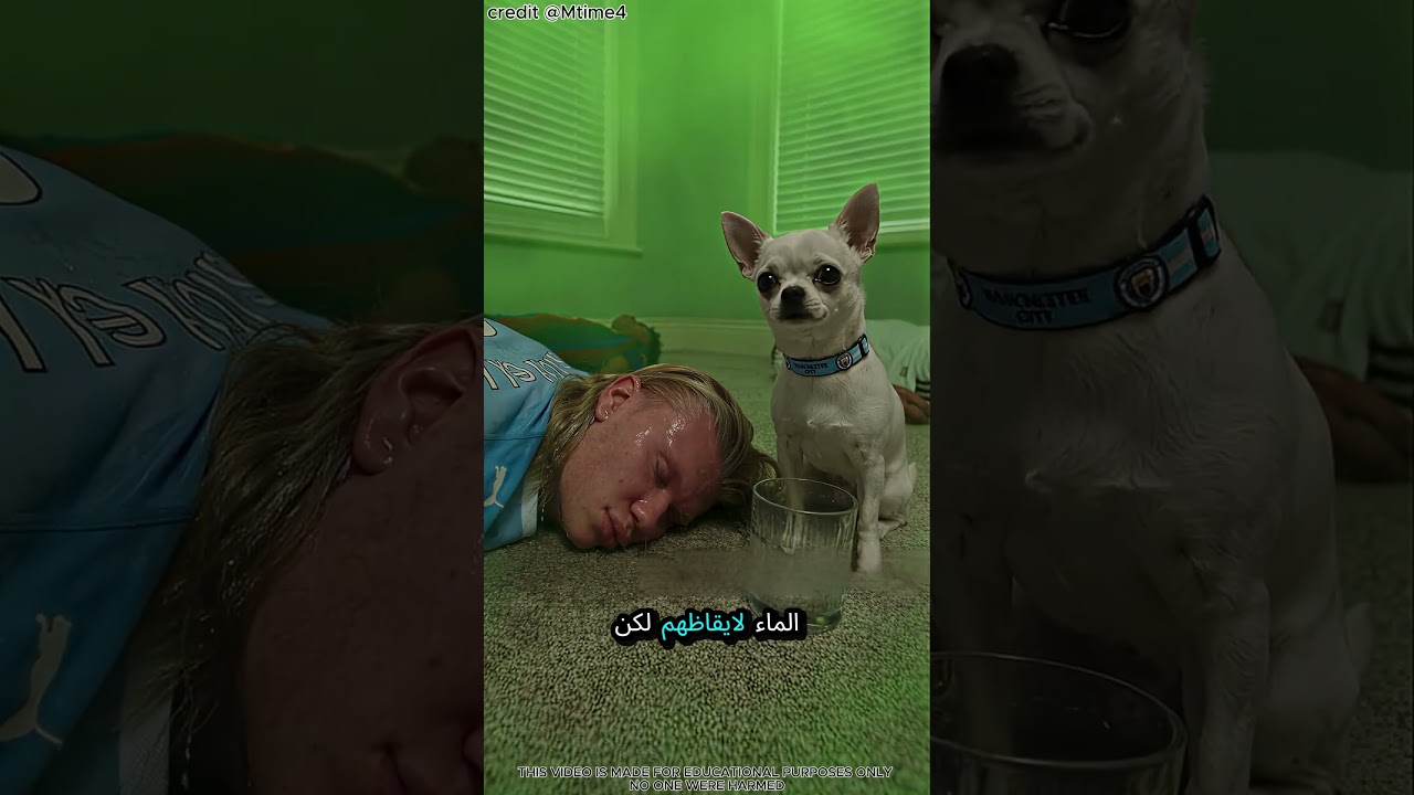 فتحتُ النوافذ، لكن المشكلة لم تنتهِ بعد! 🤣💨