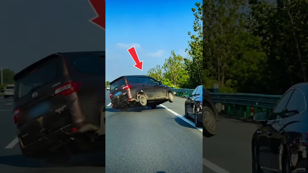 JANGAN BANTING SETIR SAAT HEWAN MUNCUL DI TOL KAMU BISA TERBALIK #shorts #viral #trending