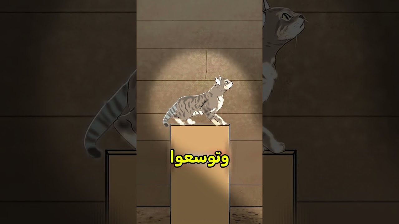 هذي كل وضعيات ذيل قطتك وايش تعني 🙂 #shortvideo