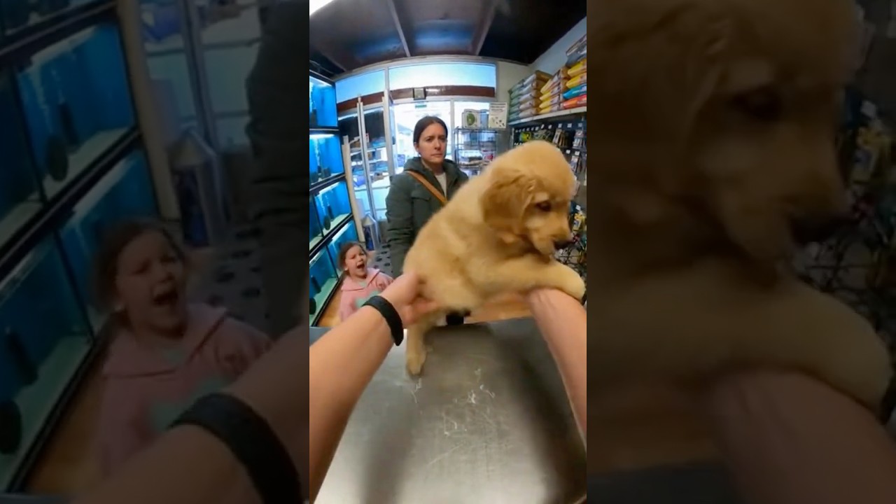 She Sold Her Daughter’s Puppy… So I Did This