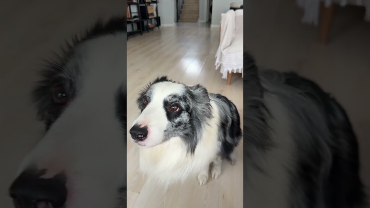 Videoyu bilerek kesmeden editlemeden paylaşıyorum :) Buyrunuz 🤫