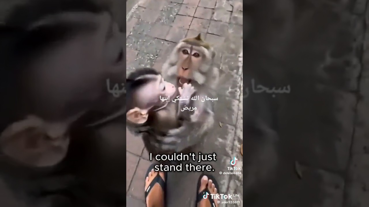 إرحمو من في الارض يرحمكم من في السماء  #الطريق_الى_الجنه