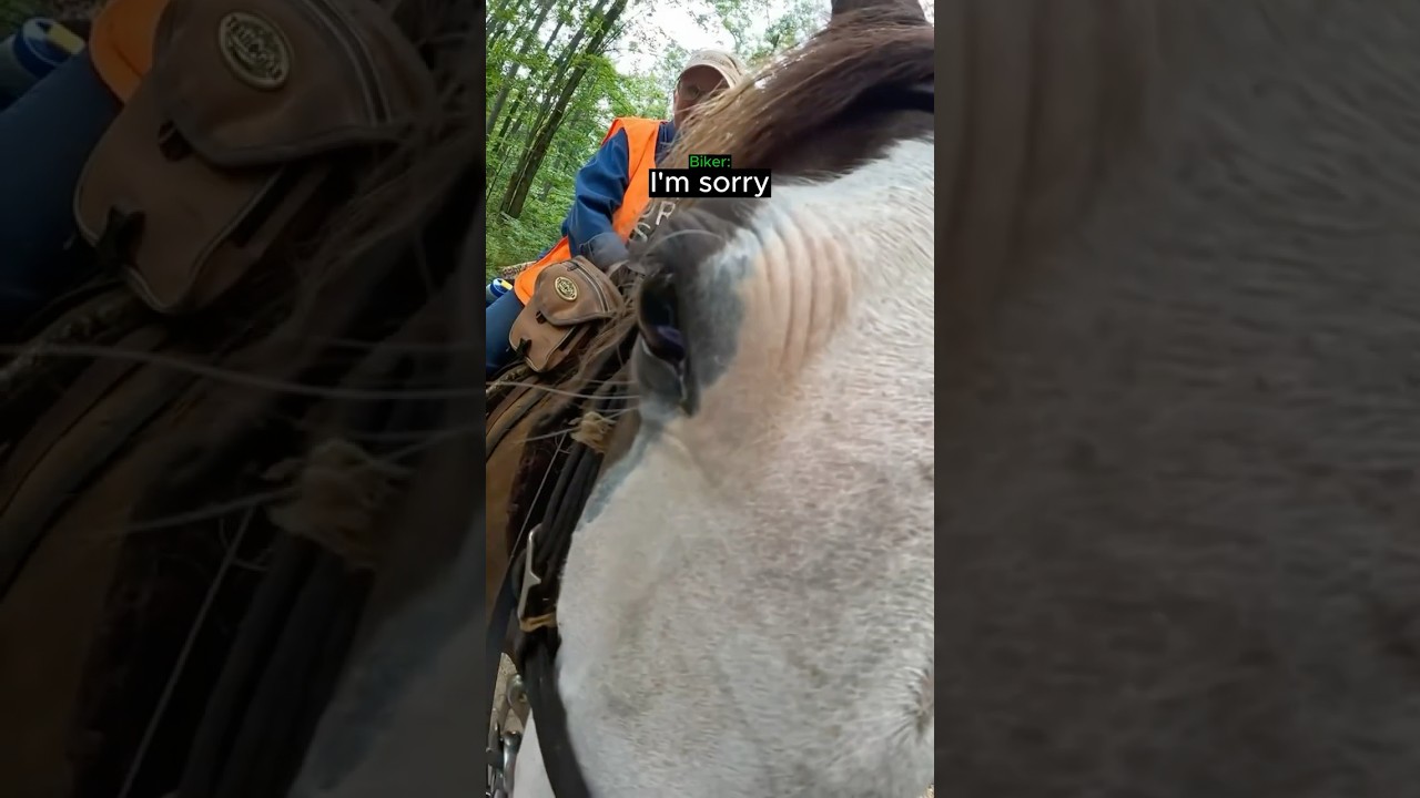 Respectful Biker Lets a Horse Rider Pass...