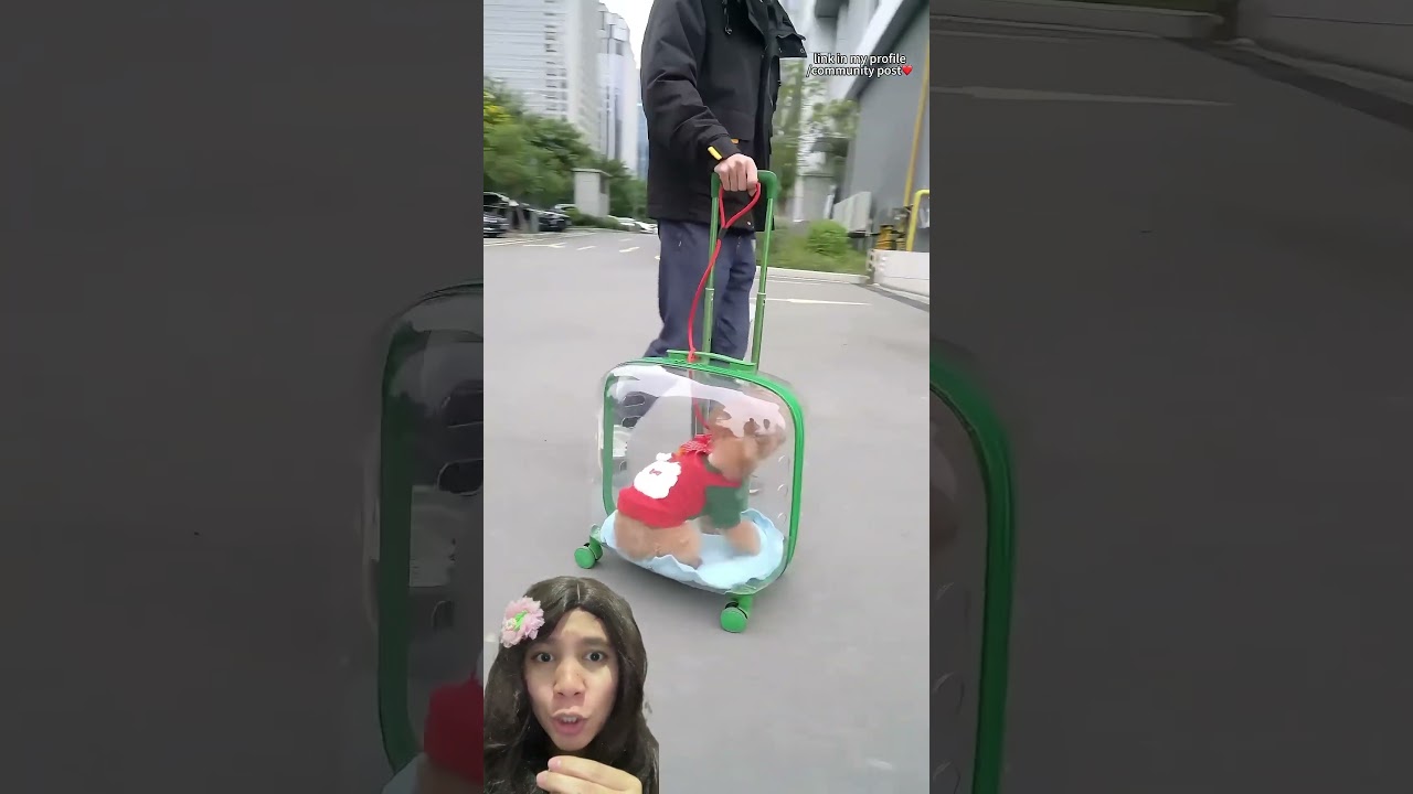 DOGGY PERGI JALAN - JALAN #funny #trending #animals #pets #cute #puppy