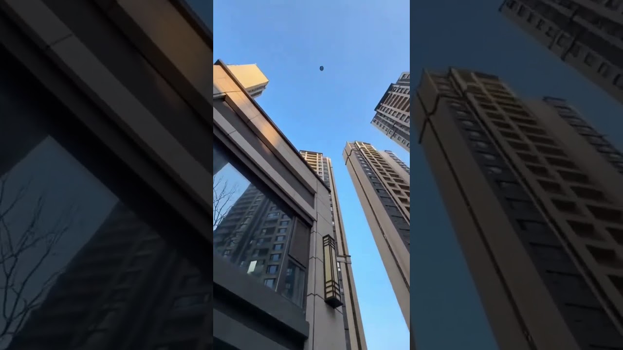 当狗狗和猫咪第一次放鞭炮～ 跟着节奏走，不开心都难～#萌宠 #萌宠出道计划 #萌宠成精了 #萌宠日常记录 #搞笑萌宠