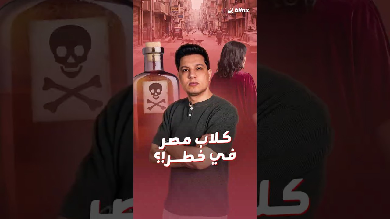 بعد تسجيل أكثر من مليون واقعة..أزمة هجمات الكلاب الضالة تقلق المصريين وانقسام حول تسميمها أو رعايتها