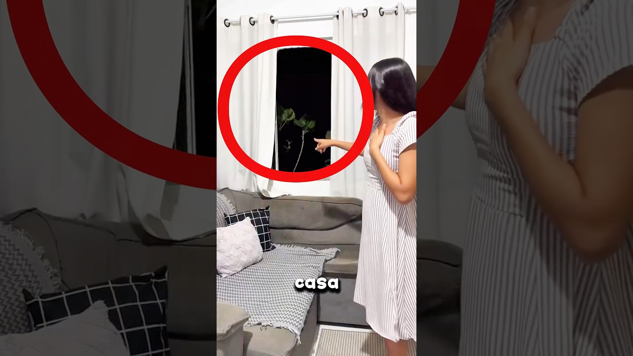 Tinha algo em cima do sofá que ela não sabia oque era !