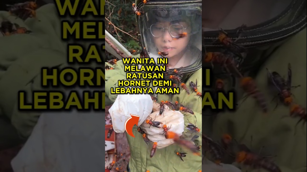 Wanita Ini Melawan Ratusan Hornet Demi Menyelamatkan Lebahnya 🐝
