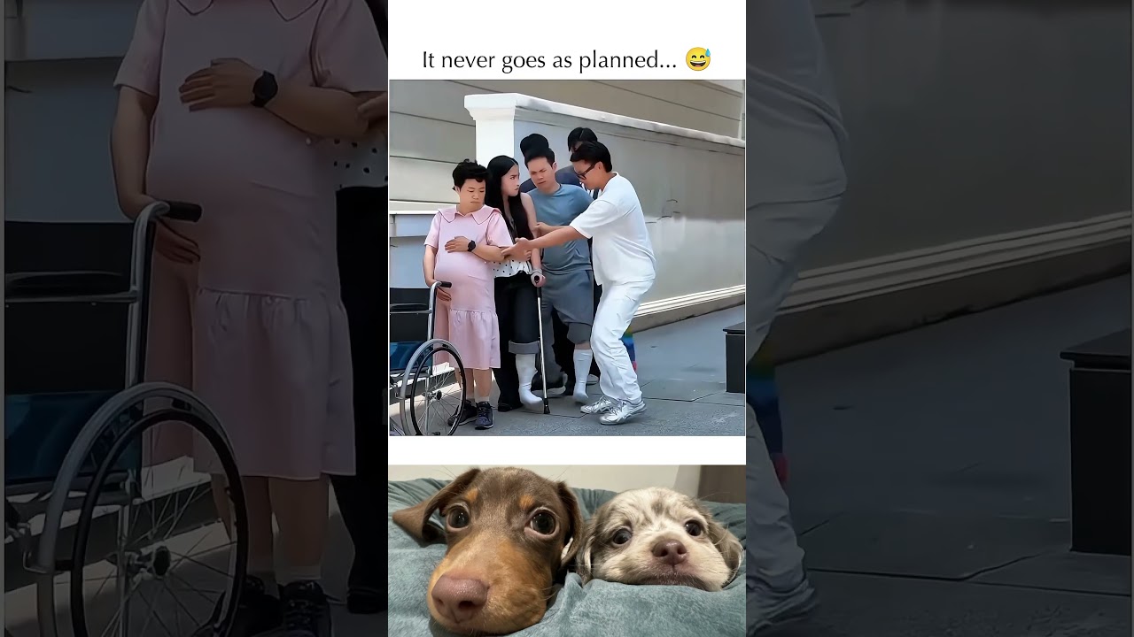 🤣👌2026 pov Must-Watch Crazy Clips Compilation #humor #fypシ #pov #fyp #foryou 😍😜