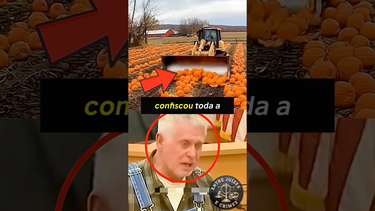 A reviravolta no caso das abóboras 🎃 #justiça