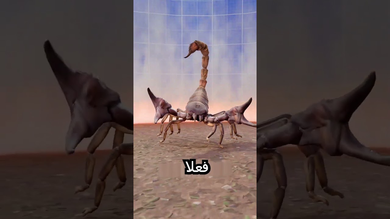 ليش العقرب يموت إذا حاصرته بالنار؟ 😨