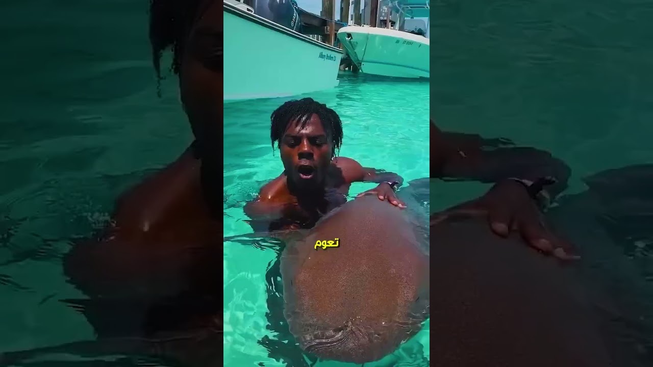 متعومش مع القروش ابدا🦈