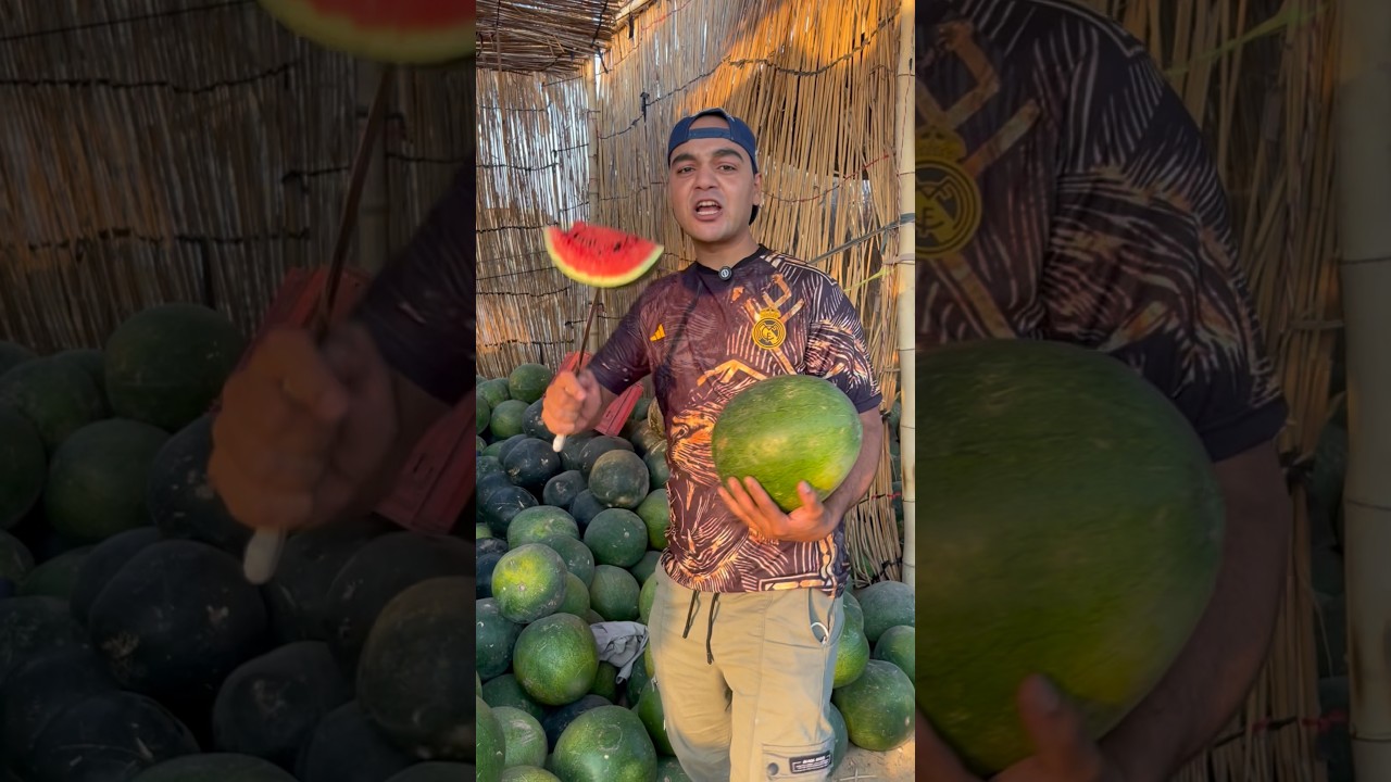شيكو عمل فرشت بطيخ 🍉هو وابو 😂