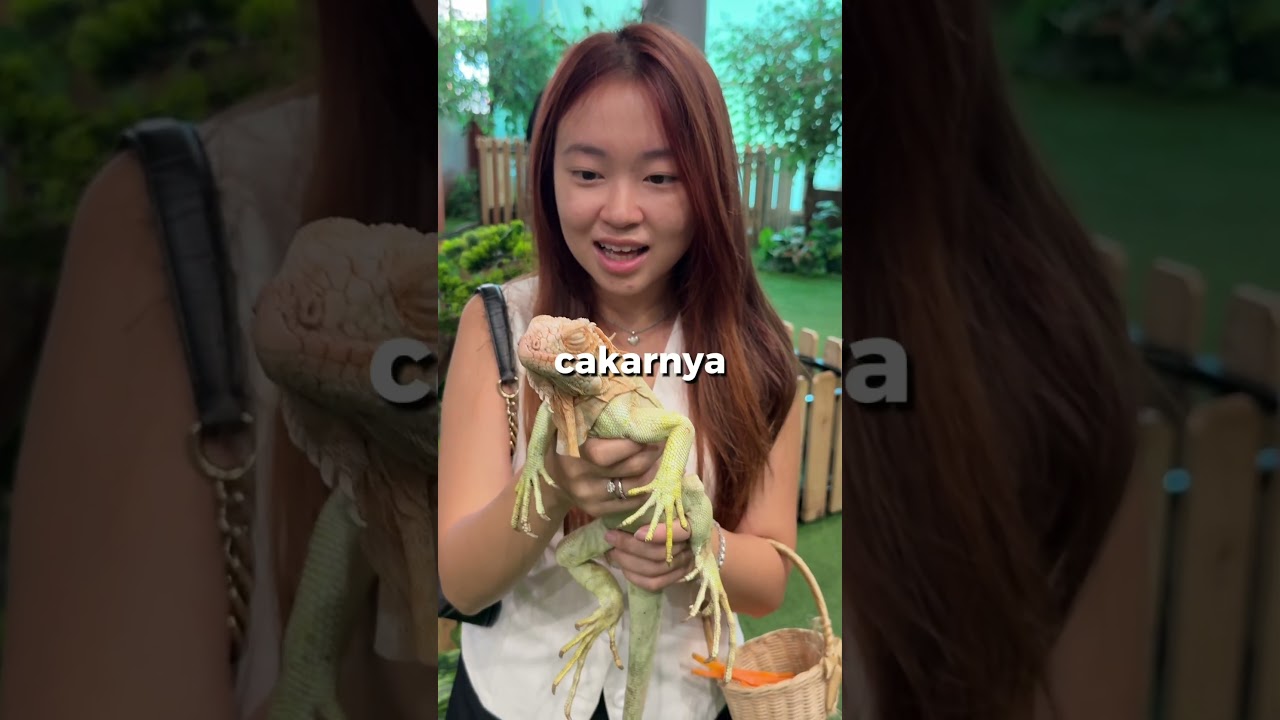 kok binatangnya ga gerak sih