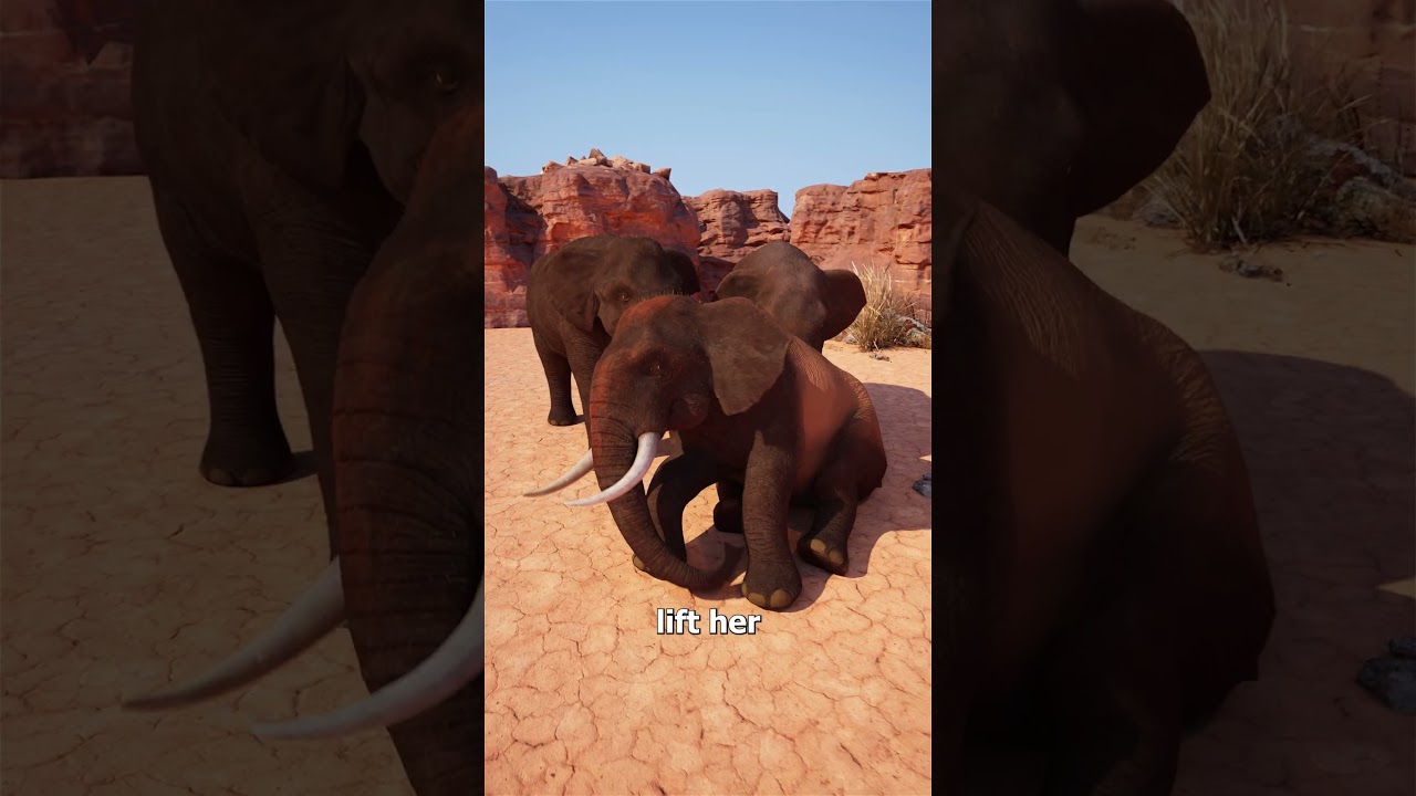 Do Elephants Really Mourn Their Dead 😢