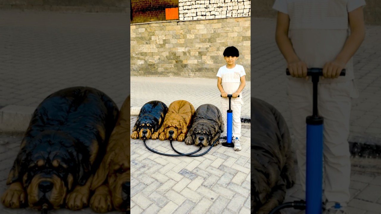 ضحك وباع على الراجل الكلاب مش حقيقيه حصل مفاجئه فى الاخر